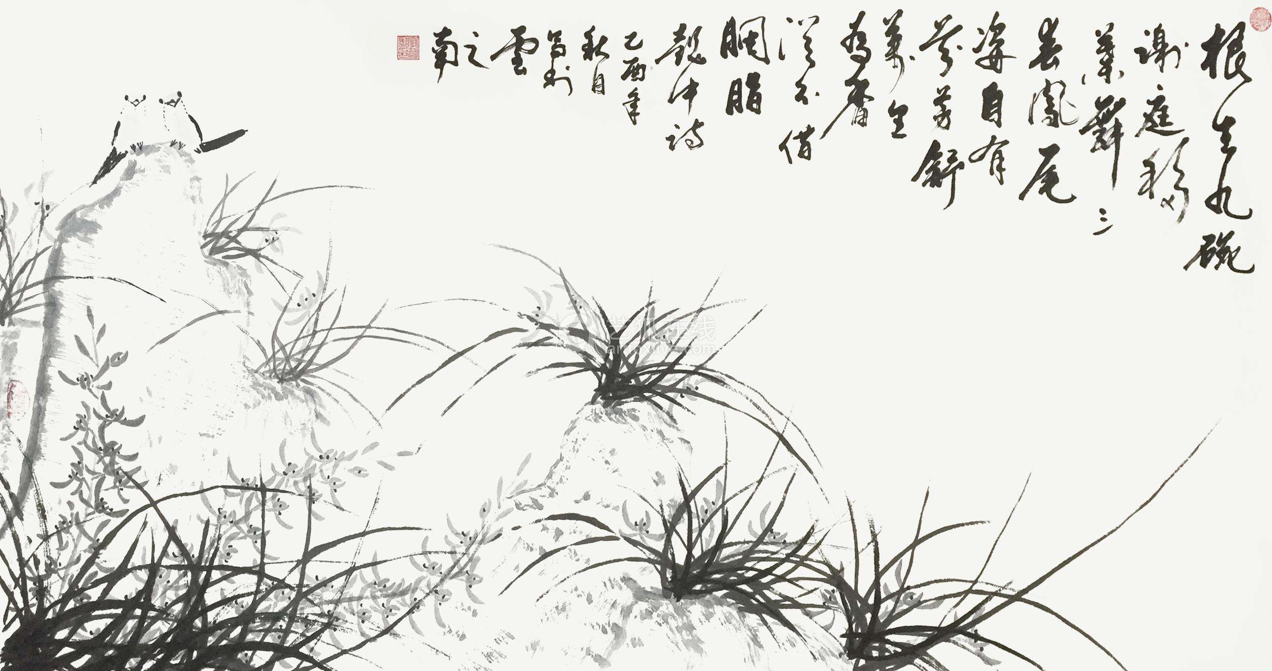 <b>兰花</b>